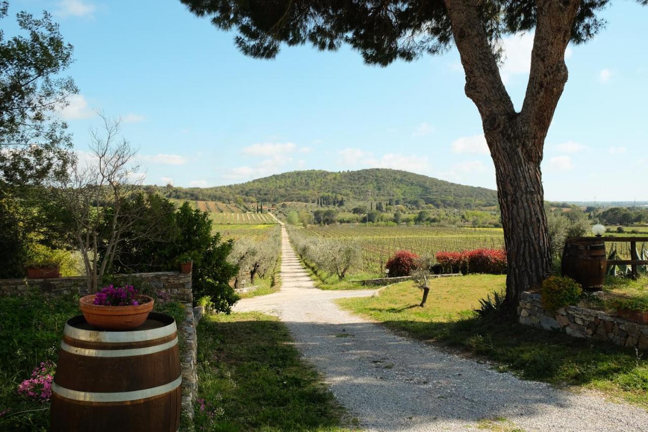 Agriturismo Biologico Bulichella Suvereto Exterior photo