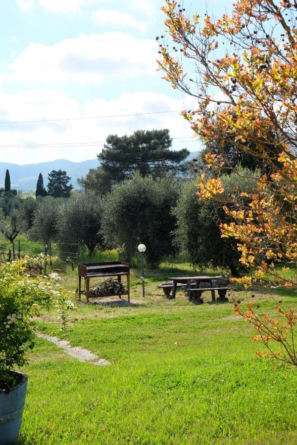 Agriturismo Biologico Bulichella Suvereto Exterior photo